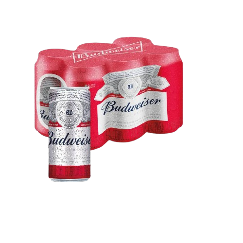 Six Pack Budweiser Lata