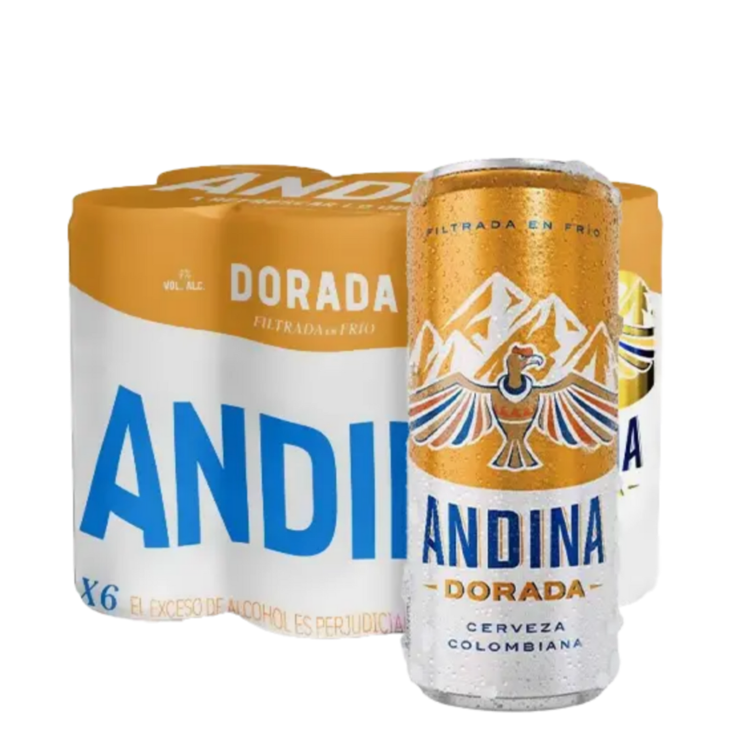 Six Pack Andina Lata